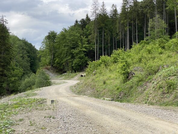 Teleajen Valley